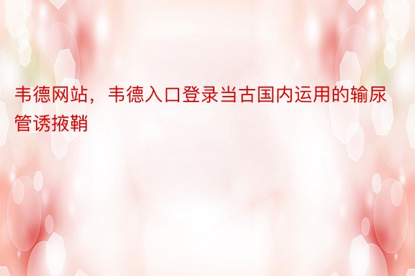 韦德网站，韦德入口登录当古国内运用的输尿管诱掖鞘